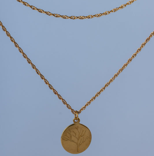 Medalha Xin prata dourada