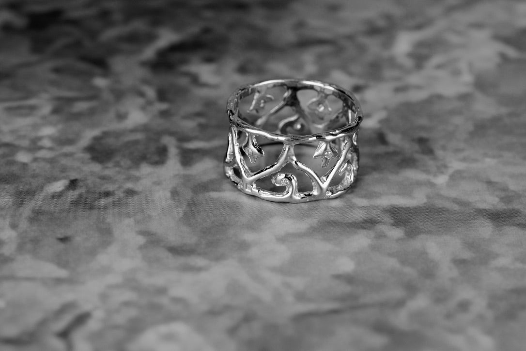 Anel Vitalidade prata